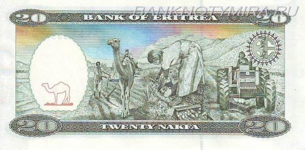 Купить банкноты Накфа. Банкноты, боны, бумажные деньги, купюры Эритреи. 20 накфа. 1997 год. UNC,