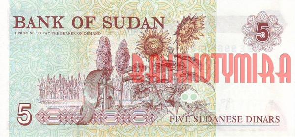 Купить банкноты SDP5-017 Судан. 5 динаров. 1993 год. UNC